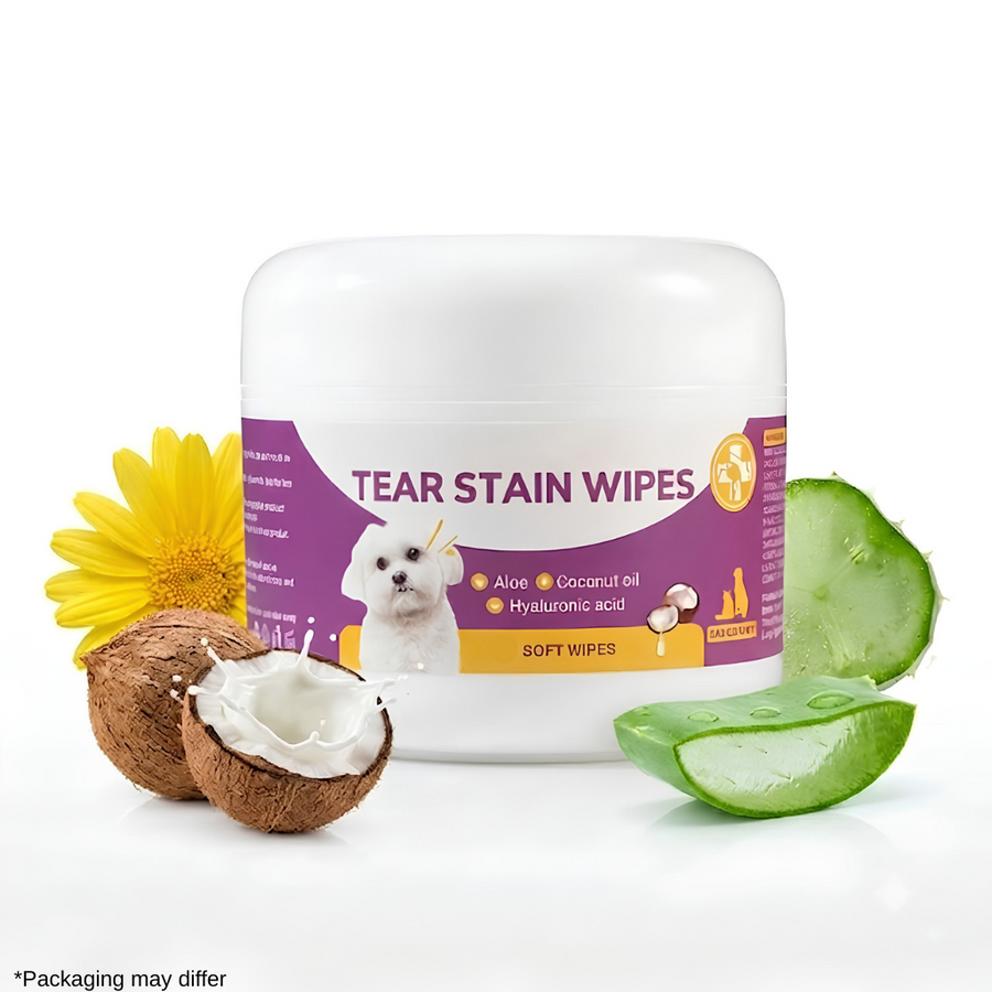 A white plastic jar of dog tear stain wipes with a purple and yellow label, styled with a yellow flower, a halved coconut, and sliced aloe vera on a white background.