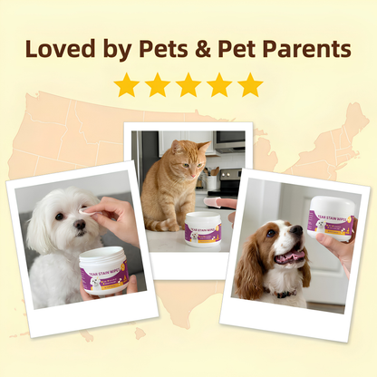 Promotional graphic with the text 'Loved by Pets & Pet Parents' and five yellow stars above three polaroid-style photos showing pets using a pet hair remover product. The center photo shows an orange tabby cat sitting near a jar, the left photo shows a white dog having its eye cleaned with a jar, and the right photo shows a brown and white dog holding a jar.